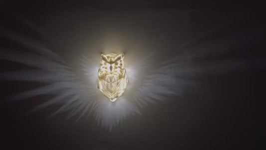 3D Eagle Wall Mount Light™